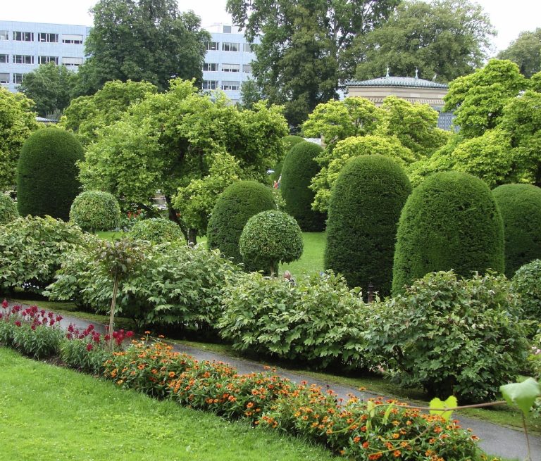 Tree and Shrub Garden With Perennials In A Park 
