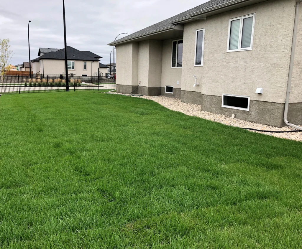 Backyard soil and sod installation - landscaping project Winnipeg