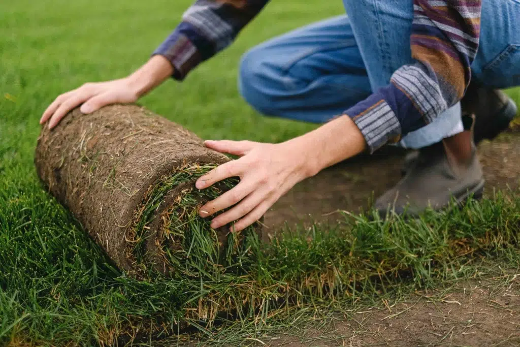 Rolling kentucky blue sod - Winnipeg landscaping sod installation