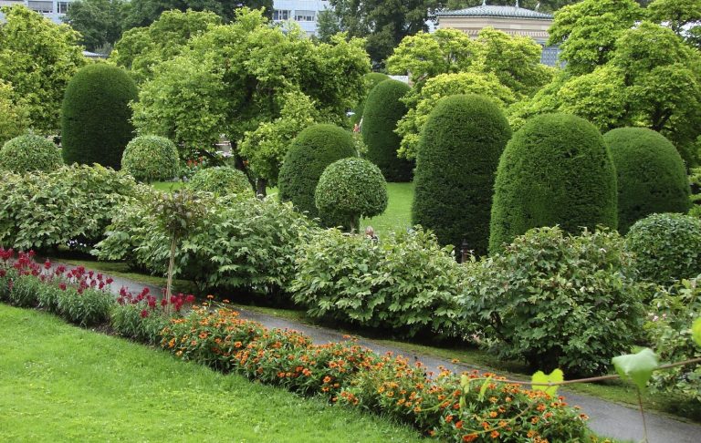 Tree and Shrub Garden With Perennials In A Park 