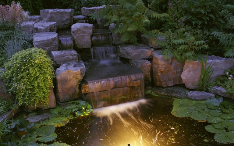 Backyard waterfall and pond 