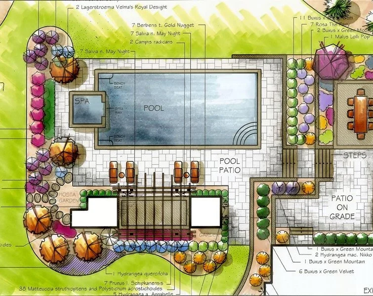 Inground swimming pool rendering with full landscaping