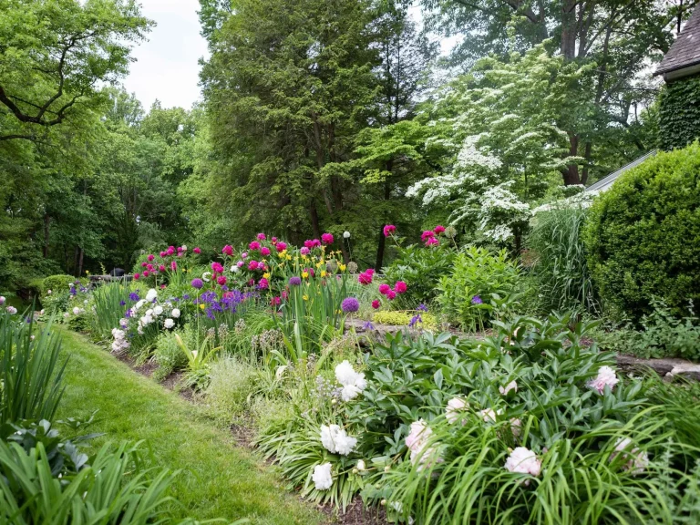Winnipeg Landscaping Backyard Garden