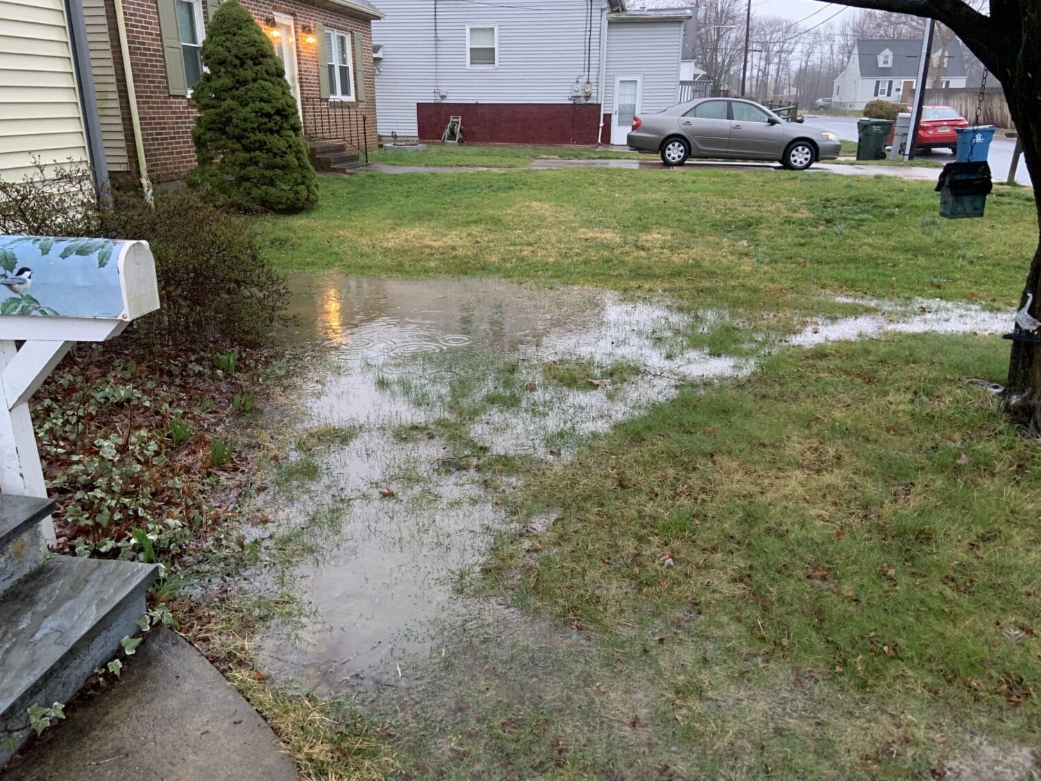 Why Water Pools in Your Yard Every Spring (Winnipeg Homeowner Guide)